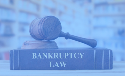 Bankruptcy law book with a javel